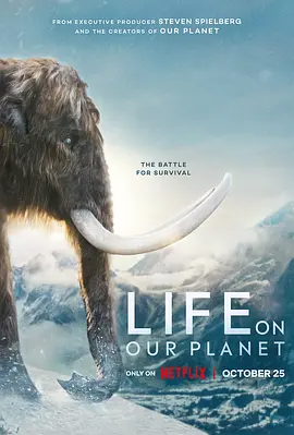 我们星球上的生命 Life on Our Planet (2023)插图